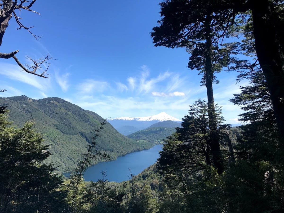 A bright blue sky and view of a lake below surrounded by lush green mountains, from the Huerquehue National Park Loop in Chile