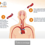 15205-detail-image-embed1.jpg