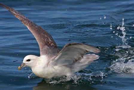 Plastic Pollution Continues to Rise
