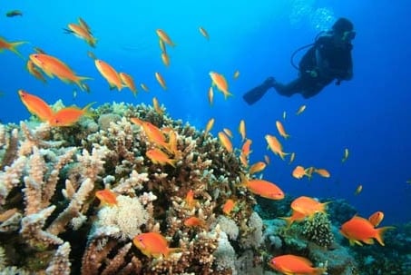 June 8 is World Oceans Day

