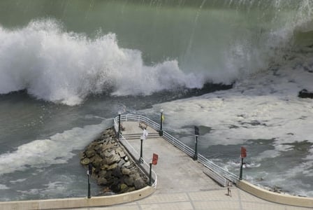 Tsunami Debris Sparks Concerns Over Invasive Species