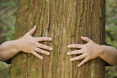 10 Eco-Friendly Lifestyle Changes for World Environment Day
