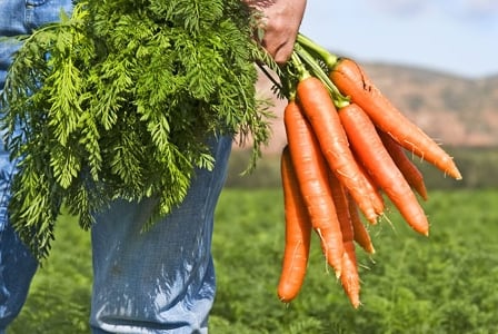 Richmond, BC, Bans the Growth of GM Crops
