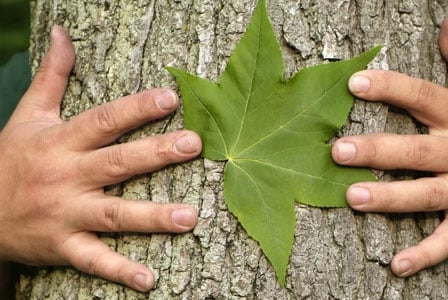 What Did You Do For Earth Day?
