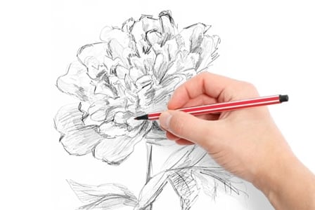 Therapeutic Drawing
