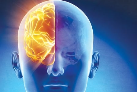 Boost the Brain\'s Power

