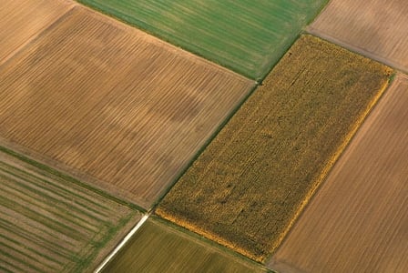 Preserving Biodiversity
